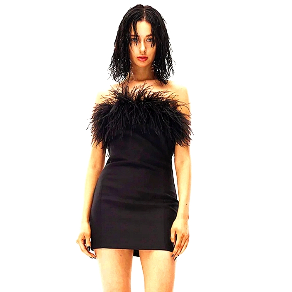 NWOT Taglioni Wool Blend Feathers Strapless Dress in Black